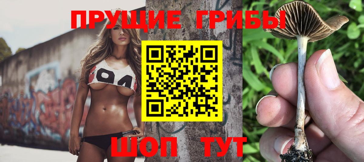 Псилоцибиновые грибы Psilocybine cubensis  Вход с VPN  Галлюциногенные грибы MAGIC MUSHROOMS  Донской 