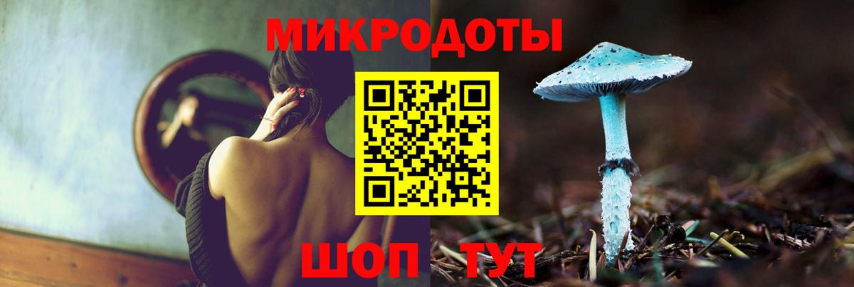 Галлюциногенные грибы Psilocybine cubensis Донской